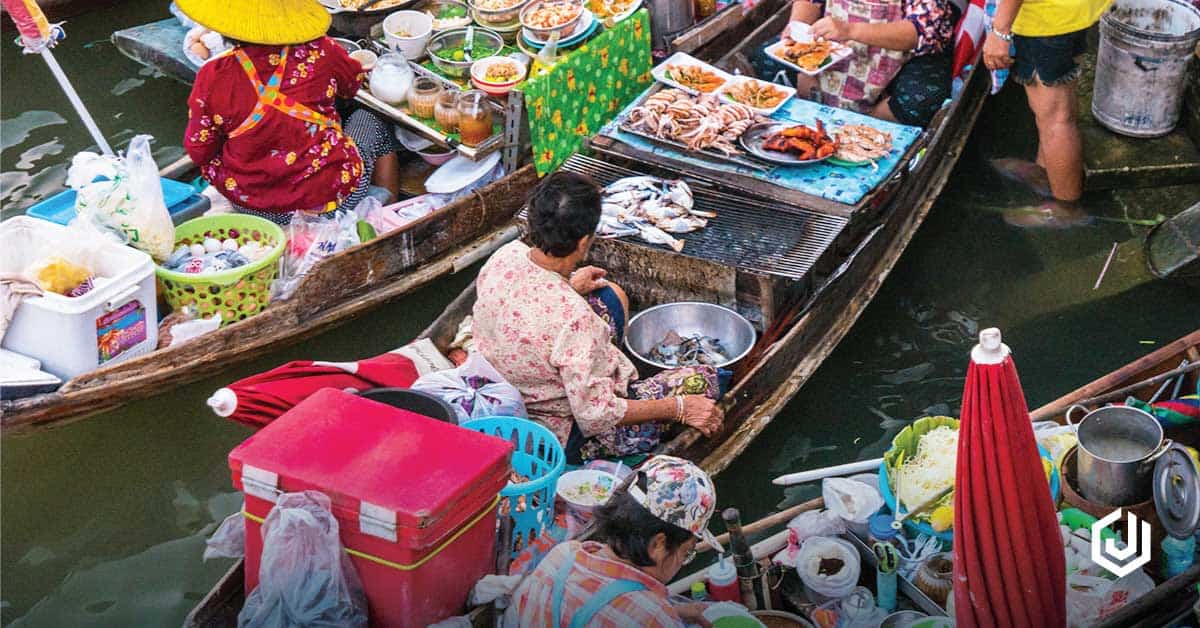 usaha bisnis ayam potong