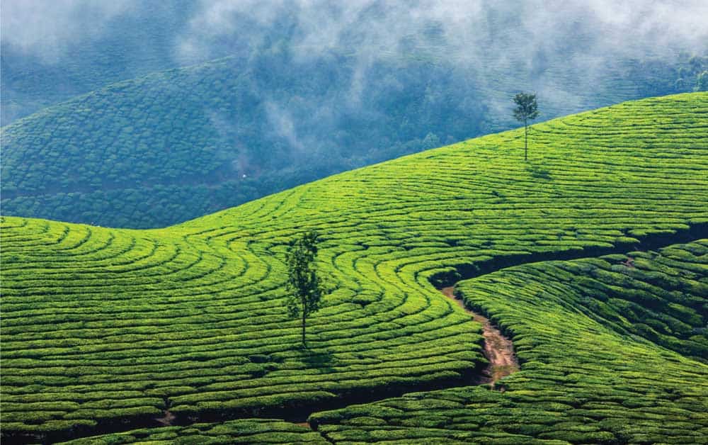 Potensial Peluang Bisnis Wisata Gunung yang Bisa Menjadi Inspirasi