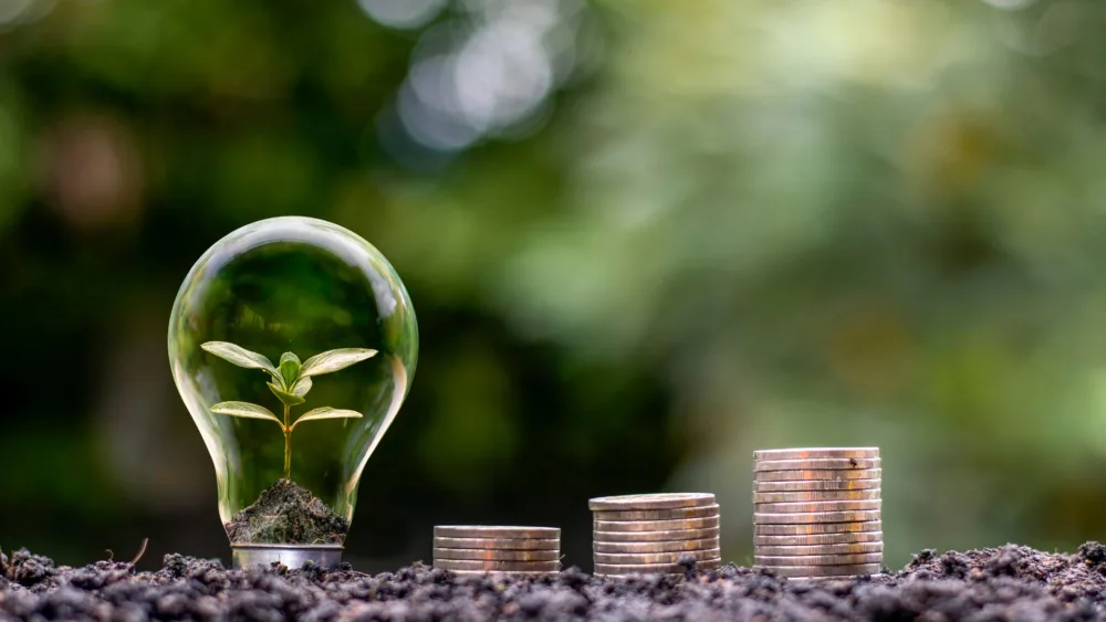 Inovasi bisnis melalui penggunaan software pengelola keuangan