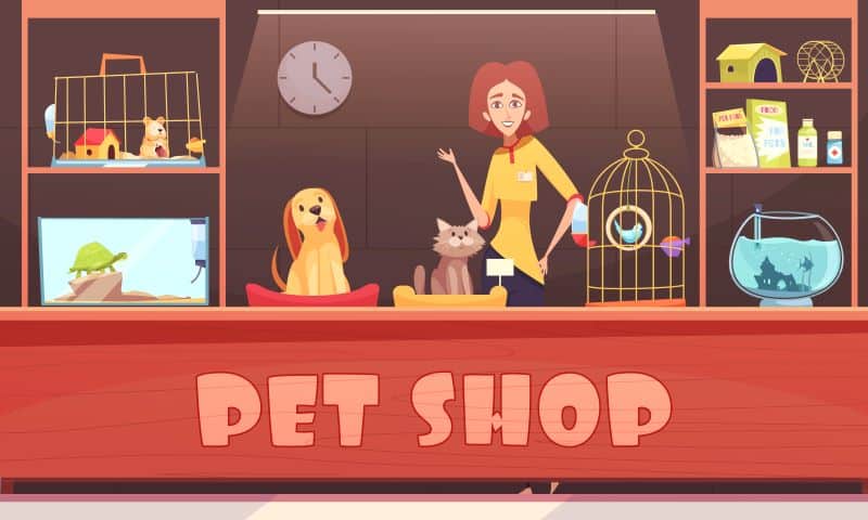 langkah tepat untuk mengembangkan bisnis pet shop