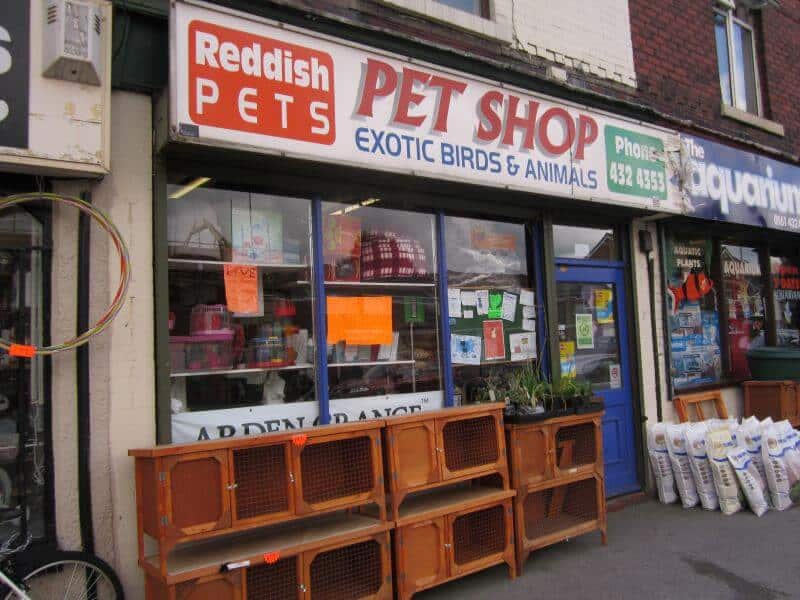 modal awal dan tips mengatur bisnis pet shop