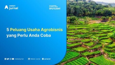 5 Peluang Usaha Agrobisnis yang Perlu Anda Coba