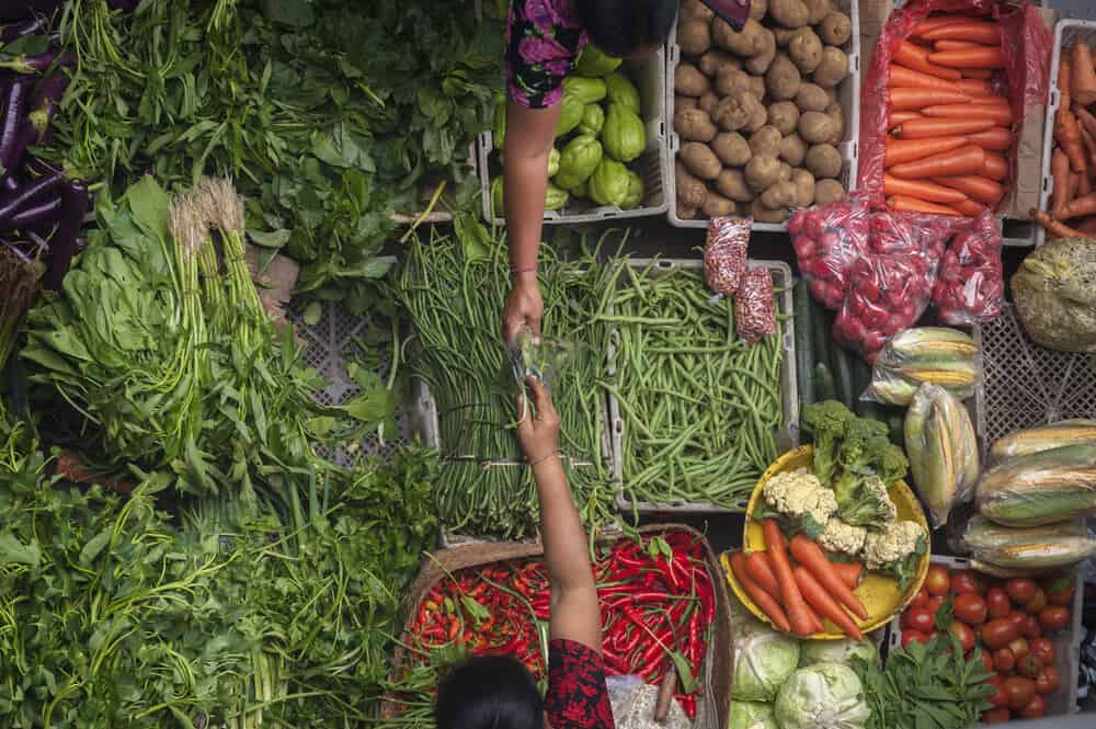 peluang, prospek, perkembangan agribisnis di indonesia