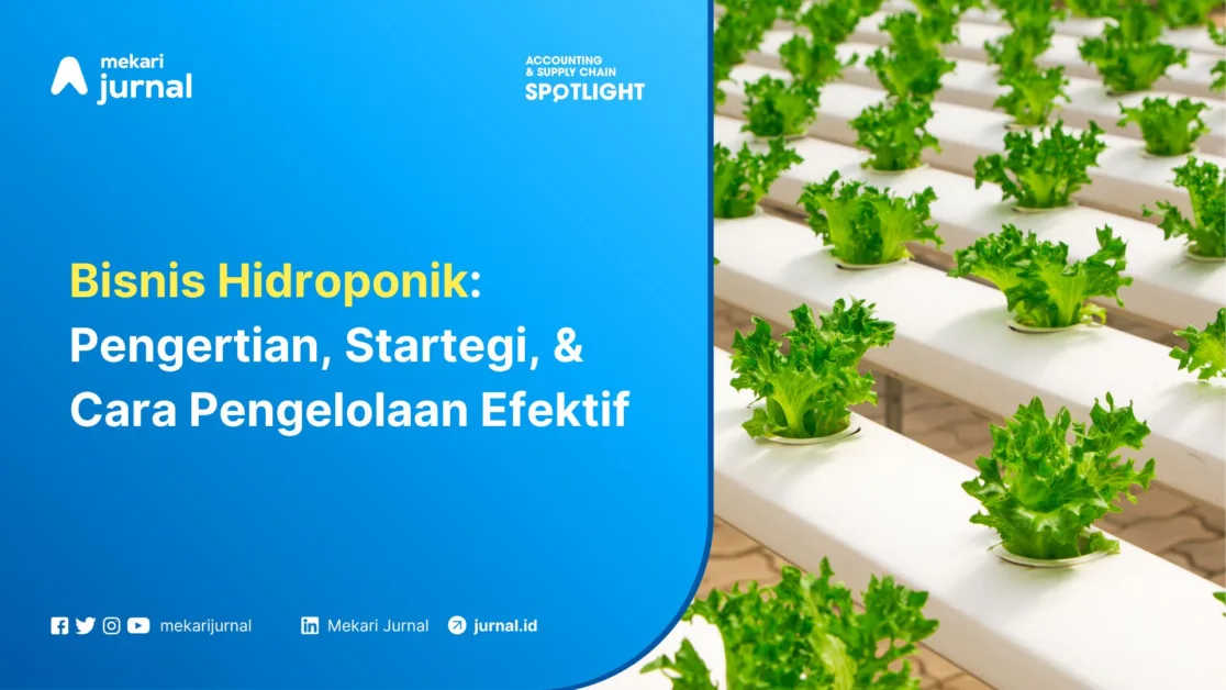 Bisnis Hidroponik Pengertian, Startegi, & Cara Pengelolaan Efektif