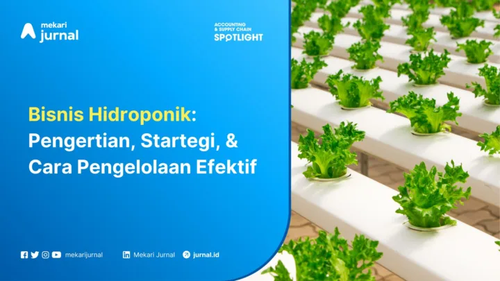 Bisnis Hidroponik Pengertian, Startegi, & Cara Pengelolaan Efektif