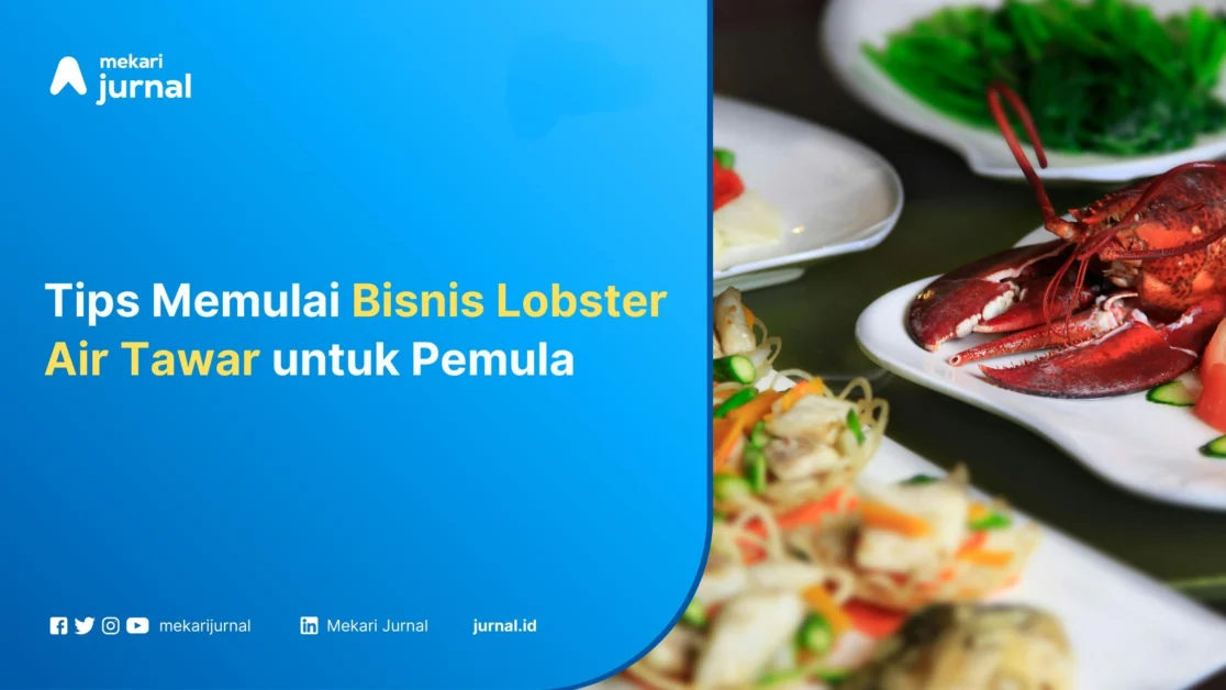 Bisnis-Lobster-Air-Tawar-Mekari-Jurnal