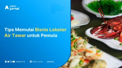 Bisnis Lobster Air Tawar - Mekari Jurnal