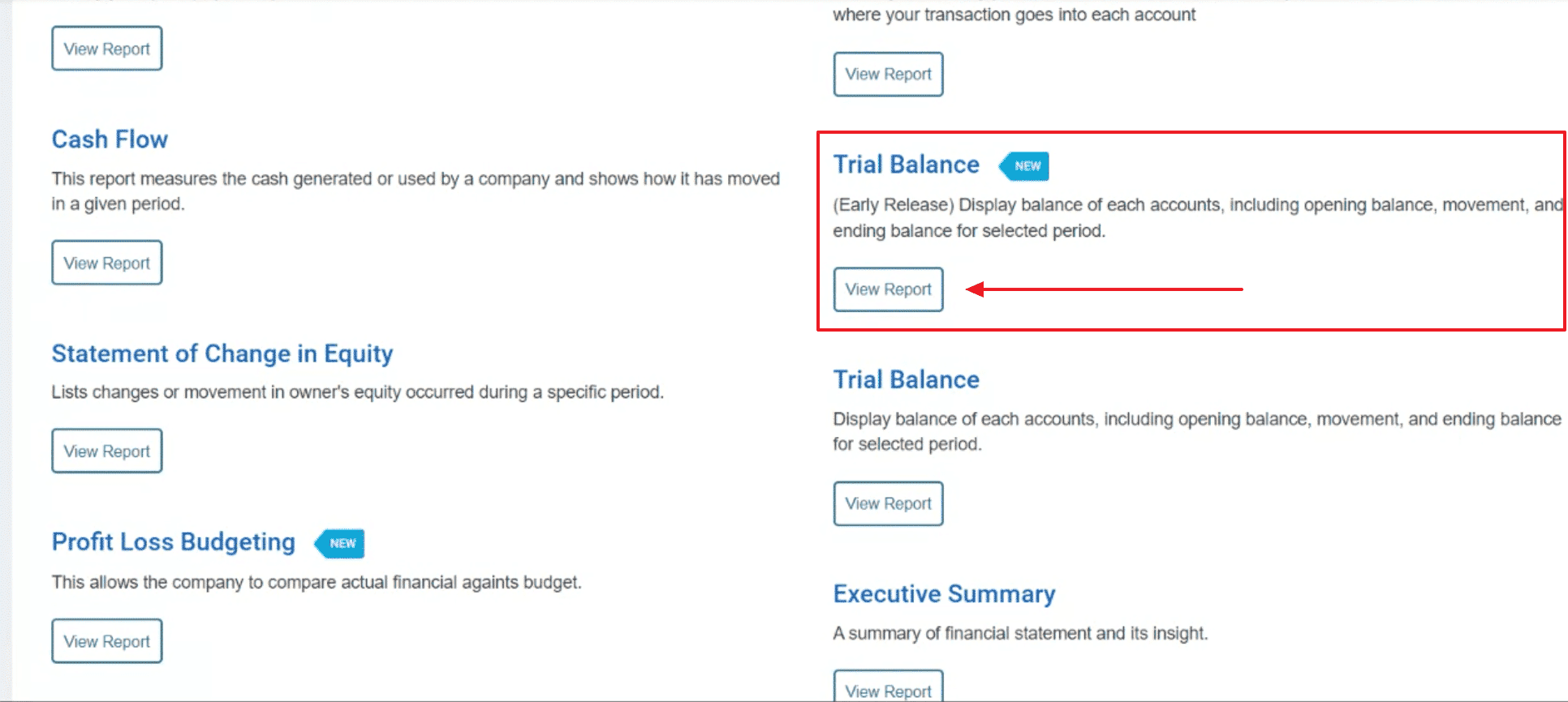 cara membuat laporan neraca saldo (trial balance)