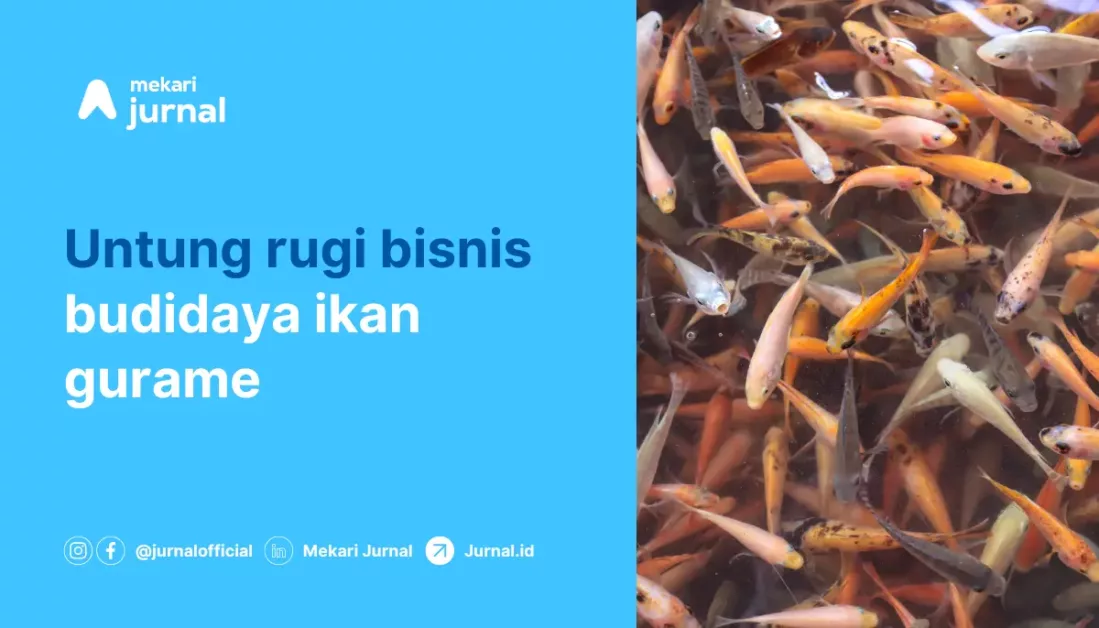 keuntungan dan kekurangan menjalankan bisnis budidaya ikan gurame