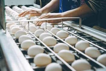 Peran Produsen Makanan dalam Kegiatan Ekonomi