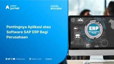 Pentingnya Aplikasi atau Software SAP ERP Bagi Perusahaan