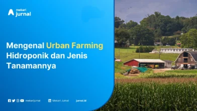 Urban Farming - Mekari Jurnal