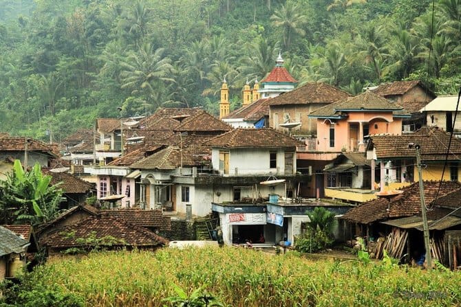 peluang bisnis dan usaha menjanjikan di desa