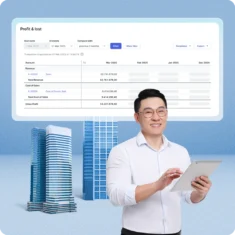 PROFESSIONAL SERVICE