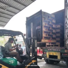 PT Gold Shine Logistik Percepat Proses Adjustment dan Pelaporan Keuangan dengan Mekari Jurnal